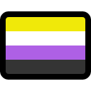 non-binary pride flag