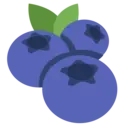 blueberries