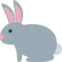 rabbit